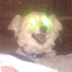 Meet your Posher, Monica